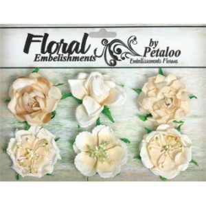 Roses Collection Vanilla (Beige)